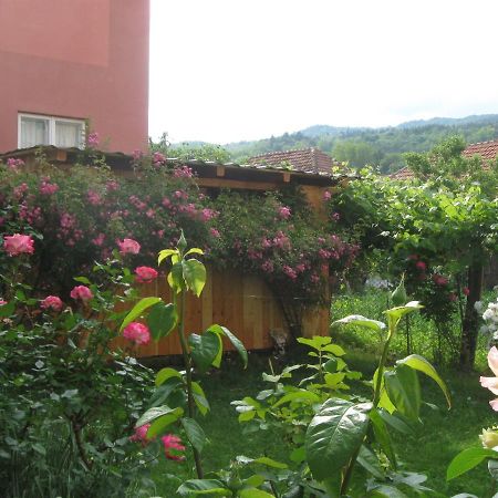 Casa Fabrizio Hotel Călimăneşti Exterior foto