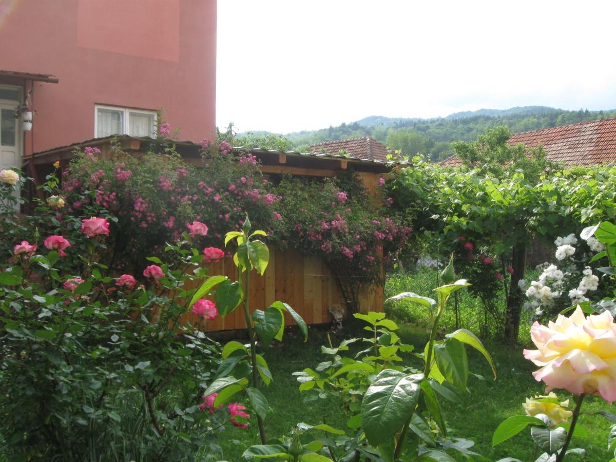 Casa Fabrizio Hotel Călimăneşti Exterior foto