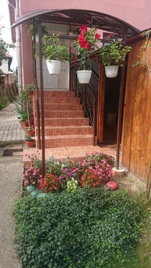 Casa Fabrizio Hotel Călimăneşti Exterior foto
